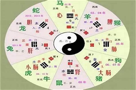 字的五行怎么看|汉字的五行属性如何确定